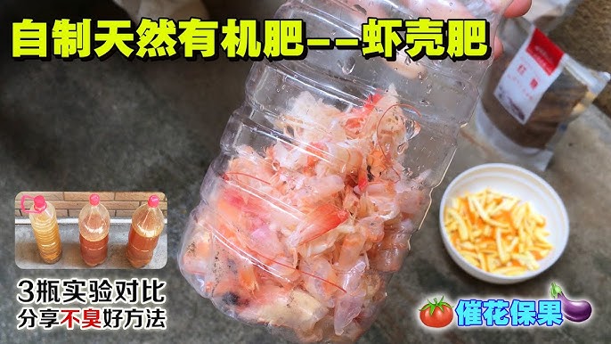 水质调控施用现场