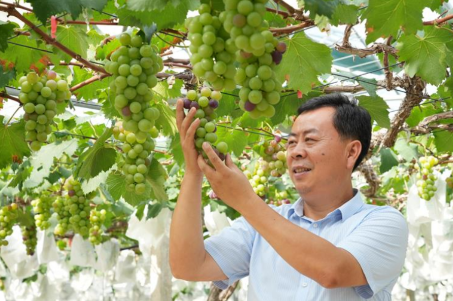 田间大讲堂现场