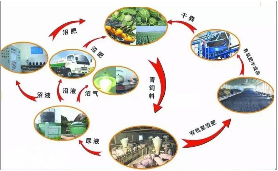 有机肥生产发酵工艺